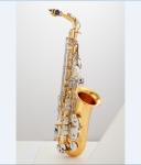 High-end saxophone, E flat, children, beginners, adults, playing musical