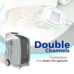 Newest Fat Freezing Cryolipolysis Chin Treatment Double Cryo Machine 4 Handles
