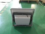 Portable 50 Watts Led RGB Floodlight Outdoor Colored Led Flood Lights