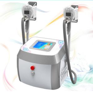 China portable cryolipolysis slimming machine,professional beauty equipment for sale factory