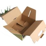 Dustproof Fruit Corrugated Paper Box With Handle Recycled Durable