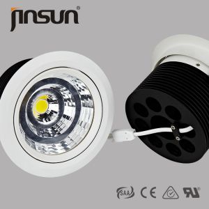 China 20W 125mm Cut Out Cree Chip With Reflector 360 Degree Adjustable Led Cob Downlight on sale