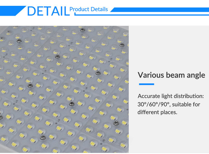 Aluminum Die-Casting 100W Led Flood Lights Indoor Garden Floodlight For Theme Park