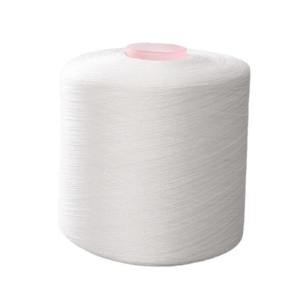China Ready Ship 40/2 Spun Polyester Yarn For Sewing Thread factory