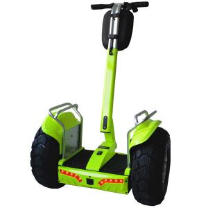 China 4000W 2 Wheel Electric Scooter For Adults Off Road Ecorider Remote Control factory