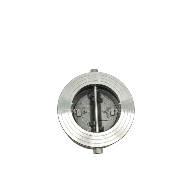 150LB Super Duplex 2507 Wafer Dual Plate Check Valve Sea Water Duo Check Valve