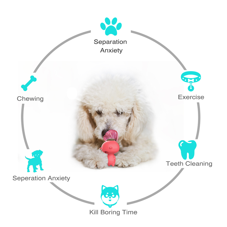 Hot Sales Custom Cute Pig Style Animal Rubber Teeth Cleaning Molar Bite Puppy Dog Chews Toy