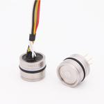 Stainless Steel Silicon Pressure Temperature Sensor Dual Output
