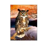30x40cm Size 3D Pictures Of Animals 0.6mm PET Material Durable