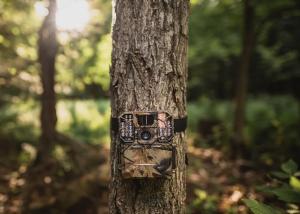 China 2 Inch LCD 16MP Wide Angle Hunting Camera No Glow HD 1080P factory
