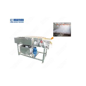 stainless steel onion powder line onion slicing washing drying processing