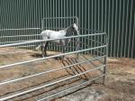 1.8x2.1m Low Carbon Steel Cattle Yard Panels CE
