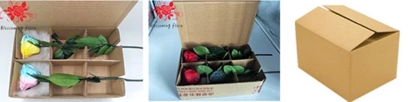 Christmas New Year Gifts Single Rose Preserved Rose Flower Stem Box in PVC Cylinder Preserved Flowers