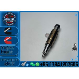 China 4307217 Common Rail Auto Parts 4307217 Diesel Fuel Injector 4307217 for SCANIA 4307217 on sale