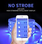 5050 RGBW Full Color Flexible Neon Strip Light Waterproof 1m Length Customizated