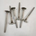 High Quality Excavator Auto Parts Engine Parts NT855 Exhaust Valve 3040830