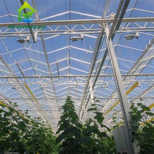 Commercial Multispan Large Venlo Glass Greenhouse Hot Galvanized Steel Frame