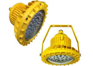 China 100 Watt Explosion Proof LED Flood Light for Gas Station Lighting factory