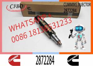 China High Quality Diesel Fuel Injector 4326959 2872284 2897320 2872544 factory