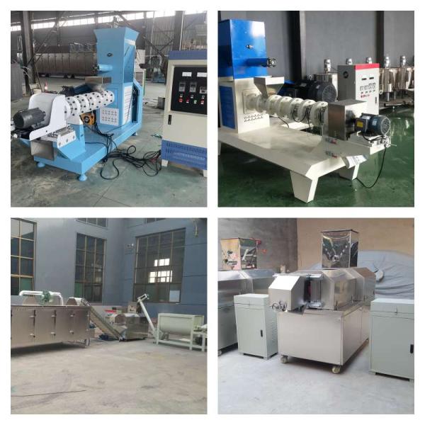 Carbon Steel Dry Type Fish Feed Extruder Single Screw Dog Food Extruder Machines