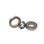 ECP Full Complement Roller Bearings N2206 NUP206E Nj206 30x62x16mm