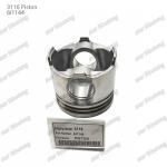 Piston With Pin 3116 6I1144