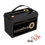 12 Volt 12V 170Ah Lifepo4 Lithium Battery Rechargeable Deep Cycle 4S1P