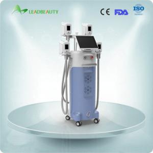 China the different color you can choose cryotherapy slimming machine 4-5cm fat lost after 1 treatment factory