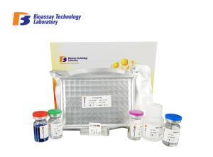 China Antibody Human Insulin Elisa Kit Cat No E3473hu 2 Hours Assay Length factory
