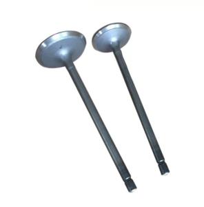China TEM 1TR 2TR Intake Valve Exhaust Valve Engine Valve 13715-75100 13711-75100 factory