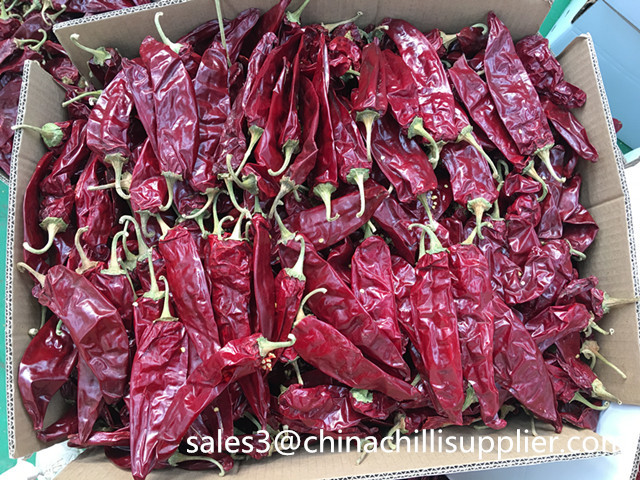 New Crop Premium Dried Guajillo Chili