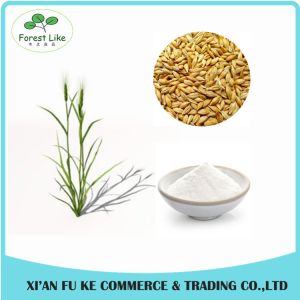 China Hordeum Vulgare / Barley / Hordeum Extract Powder on sale