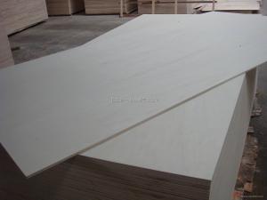 China Full Poplar Plywood factory