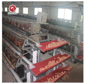 China Good Elasticity Layer Chicken Cage Q235 Bridge Steel Chicken Battery Cage factory