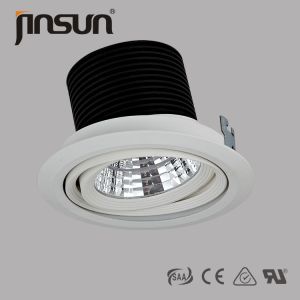 With Reflector High Power Of Led Cob Downlight For Home and Abroad