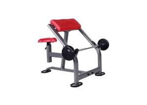 China Commercial Gym Rack And Seated Sports Weight Scott Fitness Biceps Bench factory