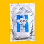 Light White Powder Lipases Enzymes 10000U/G-90000U/G Lipase Digestive Enzymes