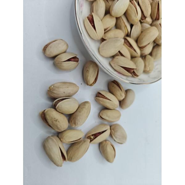 China Satisfy Cravings Roasted Salt Pistachio In Shell Free Sample factory