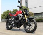 Wet Sump 150cc High Power Electric Motorcycle With Disc Brake