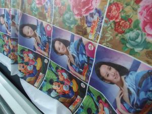 China 100% Polyester Windows Curtain / Flag Fabric 110-250 G / GSM factory
