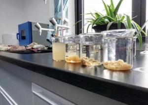 China Cationic Polymer Sludge Conditioner Mining Industry Chemical Sedimentation Additive factory