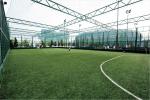60mm Pile Height Football Artificial Turf Sports Fake Grass 5/8'' Gauge 140