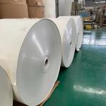 Greaseproof PE Coated Paper Roll Food Grade Eco-friendly Biodegradable