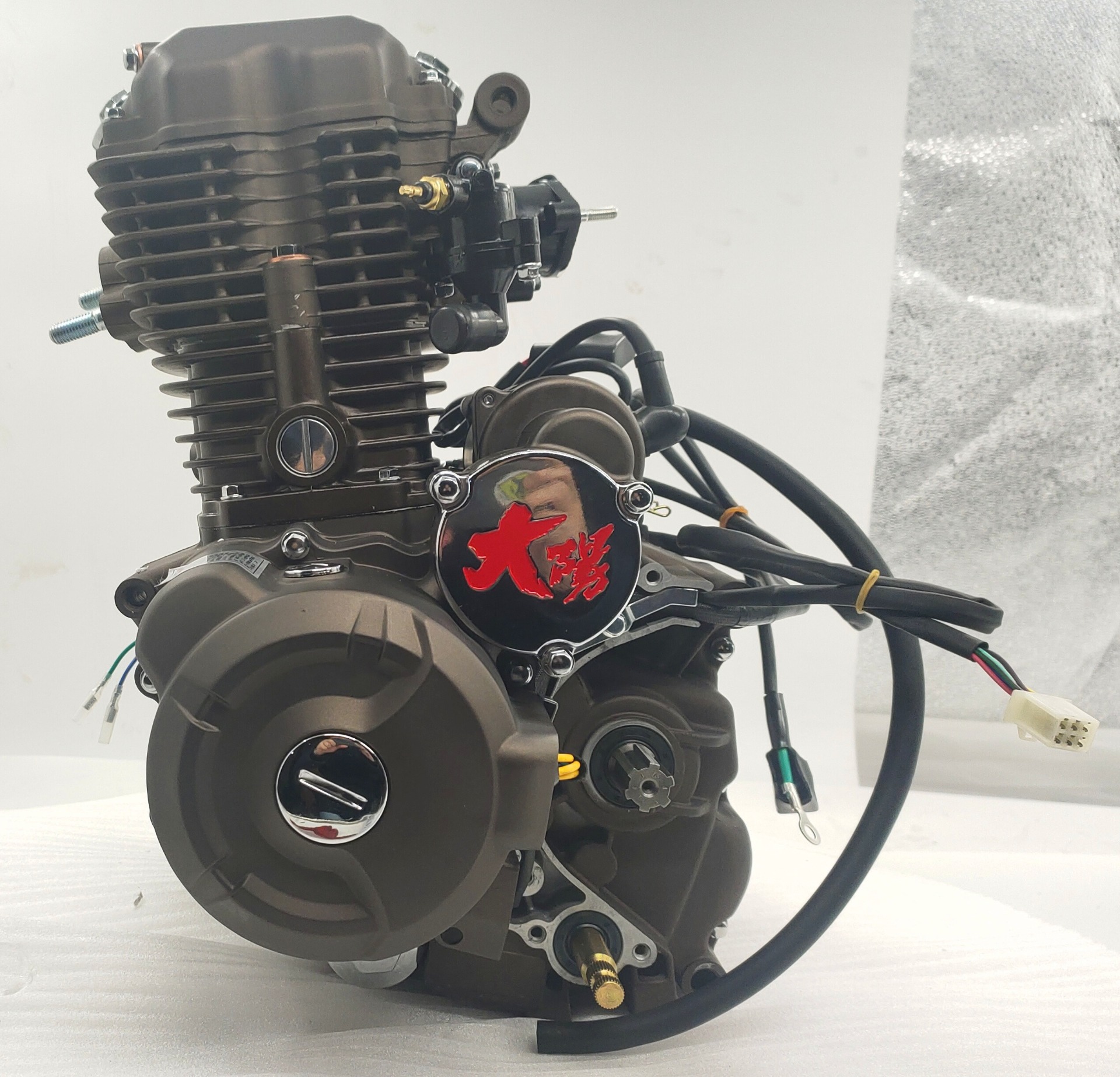 Max.Power 10.2/8000 Gasoline Tricycle Engines Assembly from DAYANG for Chinese Motorcycles