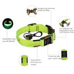 Pet Usb Rechargeable Led Collar For Dog , Custom Glow In The Dark Dog Collar