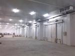 1160mm Fruit Cold Storage Room 100mm Panel Commercial Freezer Room