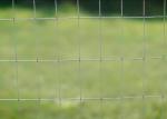 2x4 Inch Galvanized Welded Wire Mesh Fence 14 Gauge 4 ft X 50 ft