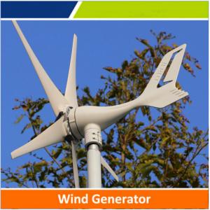 China Small power wind turbine with competitive price for hot sale, OEM &amp; ODM is available factory