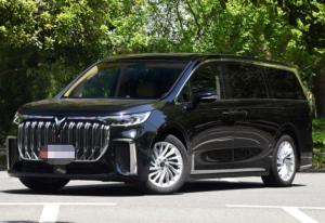 China VOYAH Dreamer 2022 Low carbon version think+Intelligent driving bag HPEV Medium large SUV factory