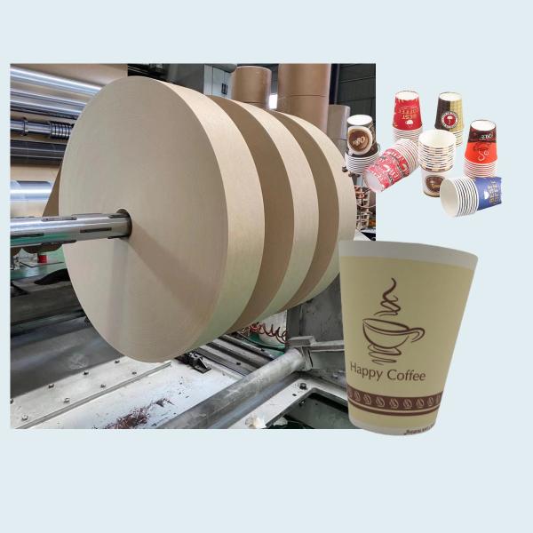 China Kraft Paper Cup Bottom Roll For Disposable Paper Cups With Waterproof And Oilproof factory